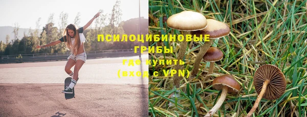 меф Заволжск