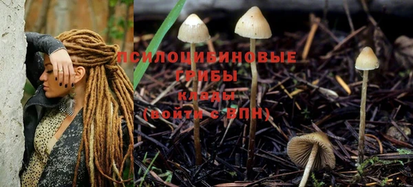 меф Заволжск