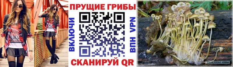 Псилоцибиновые грибы Magic Shrooms  Устюжна 